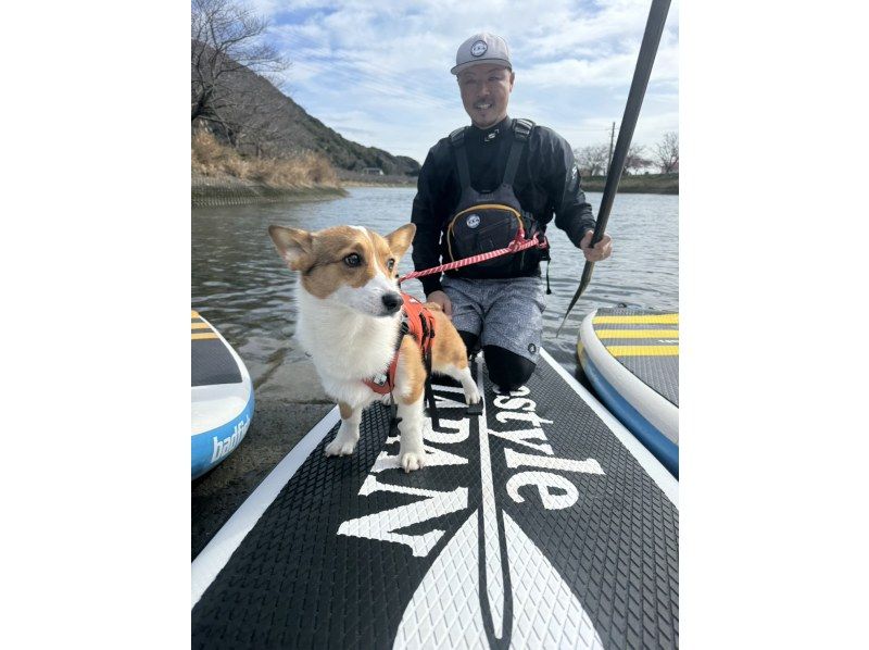 [Lake Yamanaka Dog SUP] Enjoy with your dog at the foot of Mt. Fuji! Guided by a qualified dog SUP instructor!の紹介画像