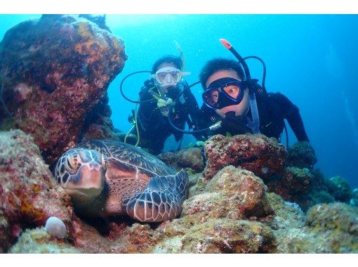 ウミガメ、マンタに会えるかも！体験ダイビング２ダイブ！高画質の写真・動画無料プレゼント in 石垣島の画像