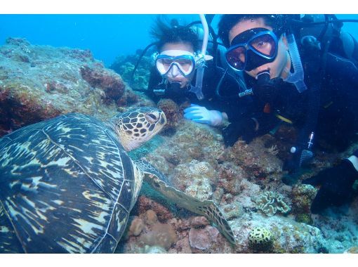 ウミガメ、マンタに会えるかも！1日で２ダイブ＆スノーケル【水中世界を覗く大満足の体験ダイビングコース in 石垣島】の画像