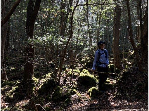 [Yamanashi Prefecture, Lake Kawaguchi] Bring an exploration map and head out! Explore the Jukai forest with a guideの画像