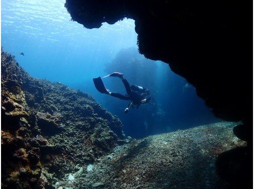 【沖縄県・石垣島】ファンダイビングコース　3diveの画像