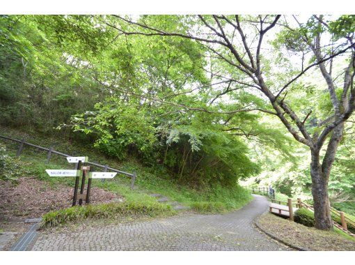 【福島県・いわき市】いわきあるき2024【いわき名物ガイド】と一緒にいわき公園でホタル探し♪の画像