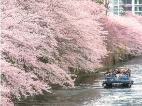 ガイド付き！目黒川桜トンネル貸切クルーズ ＆都内人気の桜スポットめぐりバスツアー　～都市センターホテルでのランチ付【029029‐1030】