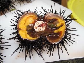 Super Summer Sale 2024 [Hokkaido, Shakotan] Fisheries experience in Nishi-Shakotan! Sakazuki Terrace Beach House "Sea urchin peeling experience" and "Seafood bowl lunch" Meet on site