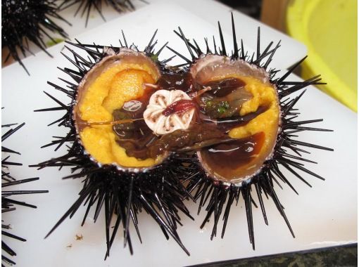 Super Summer Sale 2024 [Hokkaido, Shakotan] Fisheries experience in Nishi-Shakotan! Sakazuki Terrace Beach House "Sea urchin peeling experience" and "Seafood bowl lunch" Meet on siteの画像