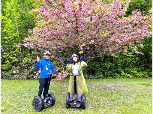 [Hokkaido, Sapporo] Explore the great outdoors ♪ Cherry blossom viewing in spring! Ride a Segway and explore the vast area of Takino Suzuran Hillside Park!の画像