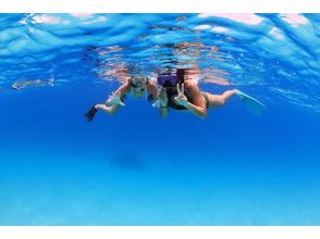 【宮古島・ボートスノーケル】宮古の海は、天然の水族館！ボートに乗って、泳いで楽しもう！