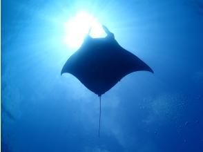 【沖縄県・石垣島】ファンダイビングコース　2dive