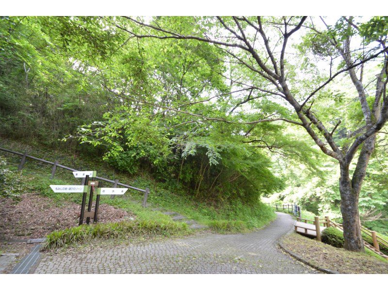 【福島県・いわき市】いわきあるき2024【いわき名物ガイド】と一緒にいわき公園の秋を見つけよう♪の紹介画像