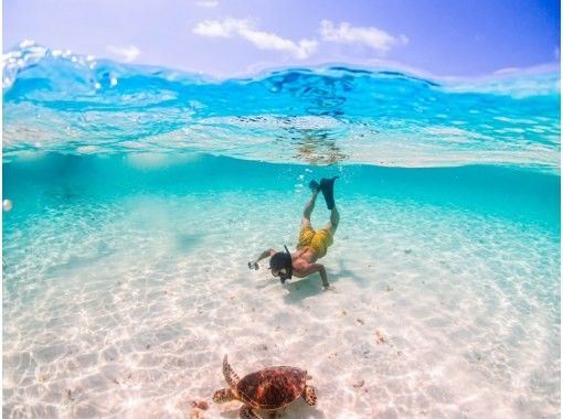 【1組限定！2024年度遭遇率100%】《 貸切ウミガメシュノーケル！》★GoPro無料貸出★ファミリー大歓迎★前日・当日予約OK！の画像