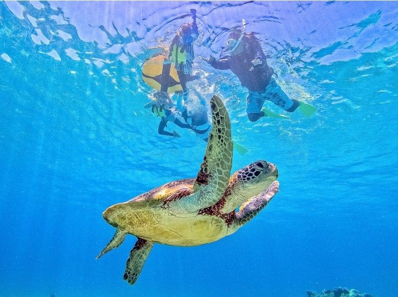 【北海道・SUP体験】透明度の高い支笏湖の湖面をクルージング！SUP体験（半日コース）の画像
