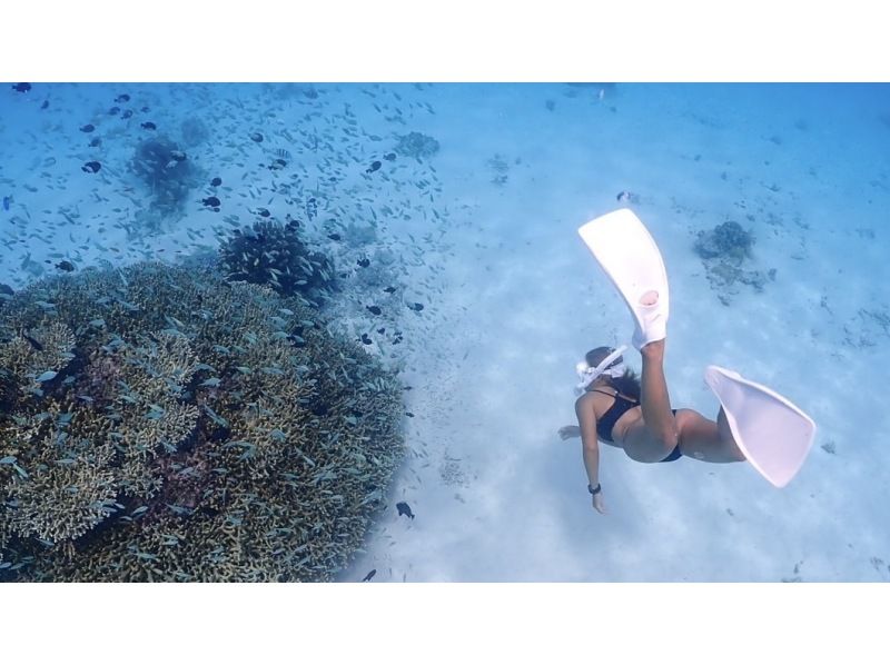 [Okinawa Motobu] Skin diving, 3 types of marine sports set