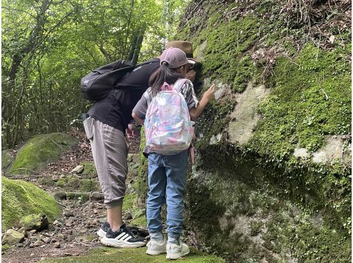 [Kanagawa, Hakone, Miyanoshita] Explore local spots not listed in guidebooks! Moss observation! "Moss Valley Path Tour"の画像