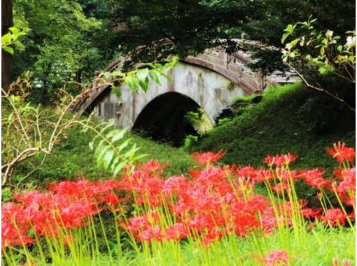 秋の花咲く2つの大名庭園と萩まつり＆特別公開の屋上庭園見学バスツアー　～蕎麦御膳のご昼食付～【029029-1354】の画像