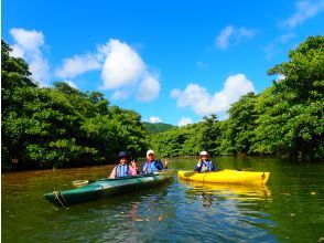 【西表島/半日】石垣島から参加可能　トレッキングがないマングローブカヌー体験、漕がなくても楽しめる