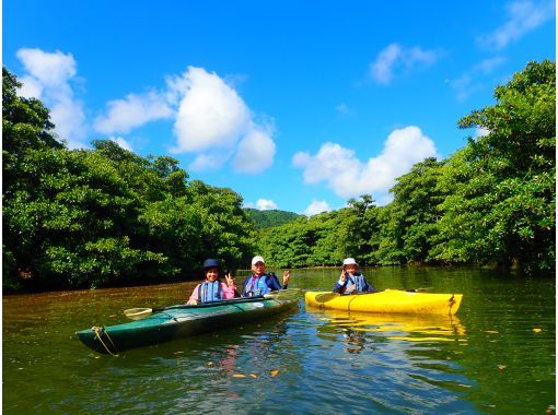 【西表島/半日】石垣島から参加可能　トレッキングがないマングローブカヌー体験、漕がなくても楽しめるの画像