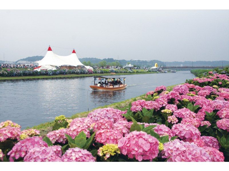 [ชิบะ/นาริตะ] ทัวร์ปั่นจักรยานชมดอกไฮเดรนเยียที่เมืองทาโกะพร้อมไกด์の紹介画像