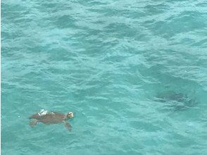 ノレジオサイクル