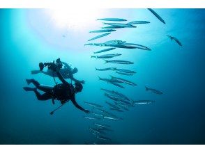 冬は近海ボートがお勧め！【北谷・アメリカンビレッジ】サンゴの海！ボート体験ダイビング２dive・動画写真プレゼント！カップル・女性グループ