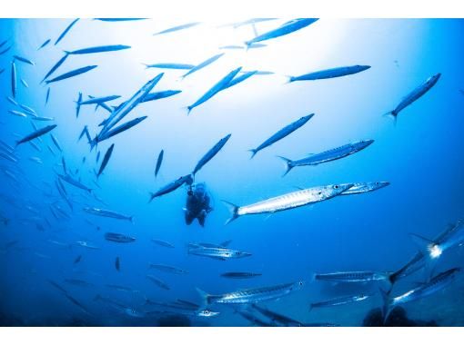 [Chatan American Village] 2 dives! Boat experience diving! Beautiful photos! Videos and photos are available as gifts immediately! Couples and women's groupsの画像