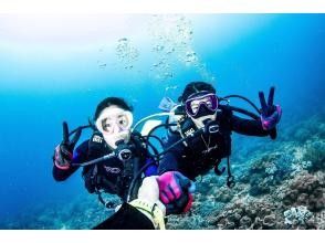 【查坦】2次潜水体验❤️毛巾、拖鞋和喂食免费！⭕️当天无需携带任何物品即可参加❤️免费教练租赁❤️专业相机免费拍摄照片和视频