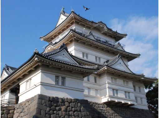 秋の小田原紅葉巡り 旧吉田茂邸＆松永記念館&小田原城址公園バスツアー【029029‐898】の画像