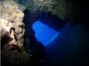 【恩納村・万座毛】ボートFUNダイビング2dive・地形と白砂漠・動画写真プレゼント！