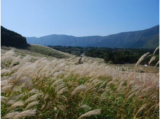 黄金色に輝く仙石原すすき草原&箱根ロープウェイでいく！火山が創った絶景・大涌谷バスツアー【029029-1358】の画像