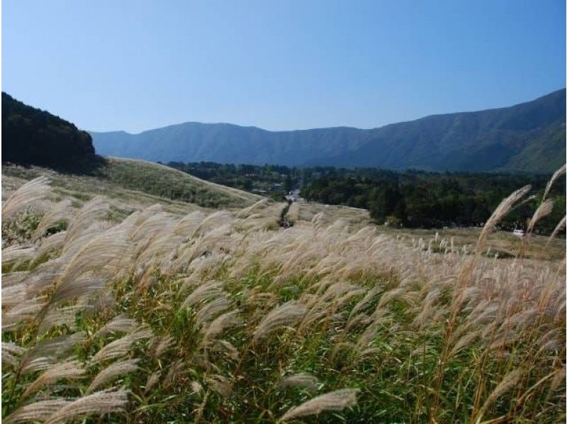 黄金色に輝く仙石原すすき草原&箱根ロープウェイでいく！火山が創った絶景・大涌谷バスツアー【029029-1358】の紹介画像