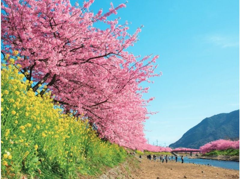 【北海道・SUP体験】透明度の高い支笏湖の湖面をクルージング！SUP体験（半日コース）の画像