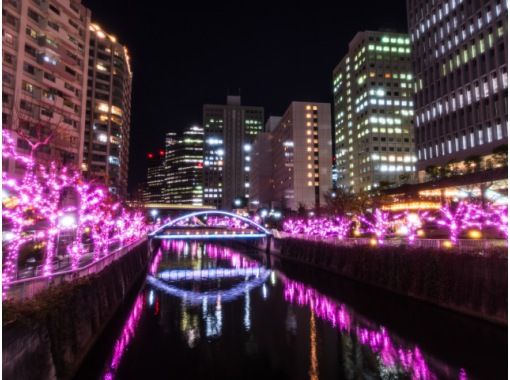 2階建てスカイバス東京7景めぐり&目黒川”冬の桜(R)”イルミネーション鑑賞＆麻布台ヒルズクリスマスマーケット【029029-1507】の画像
