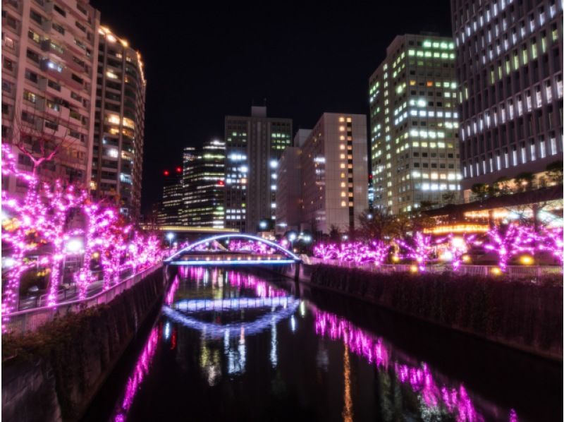 2階建てスカイバス東京7景めぐり&目黒川”冬の桜(R)”イルミネーション鑑賞＆麻布台ヒルズクリスマスマーケット【029029-1507】の紹介画像