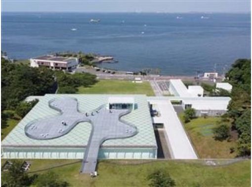 [助成金対象ツアー]横須賀美術館＆ヴェルニー公園の秋バラ鑑賞！ヨコスカ絶景めぐりバスツアー【029029-1338】の画像