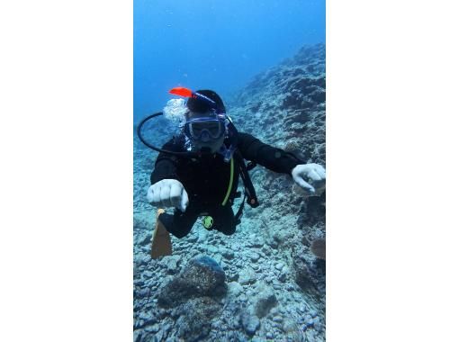 [Okinawa Miyakojima] Fun Diving (2 dives) Charter Morning/Afternoonの画像