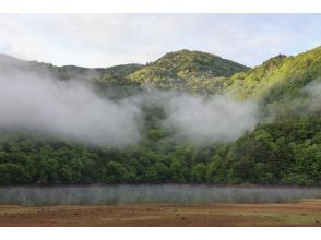 日光自然历史博物馆有限公司