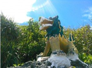 诺雷吉奥循环