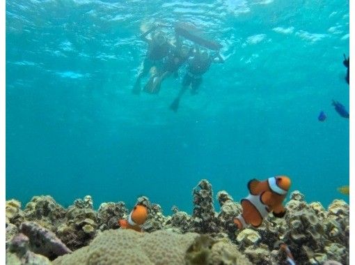 《Enjoy a private experience with a small group!》 Snorkeling tour "Departing and arriving at Ishigaki Port by boat"! (GoPro photo service included)の画像