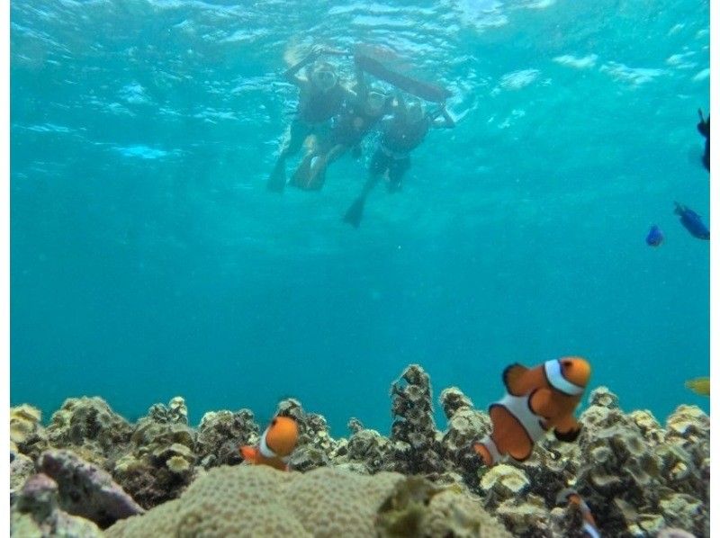 SALE! Enjoy a private experience with a small group! Snorkeling tour "Easy boat ride from Ishigaki Port"! (GoPro photo service included)の紹介画像