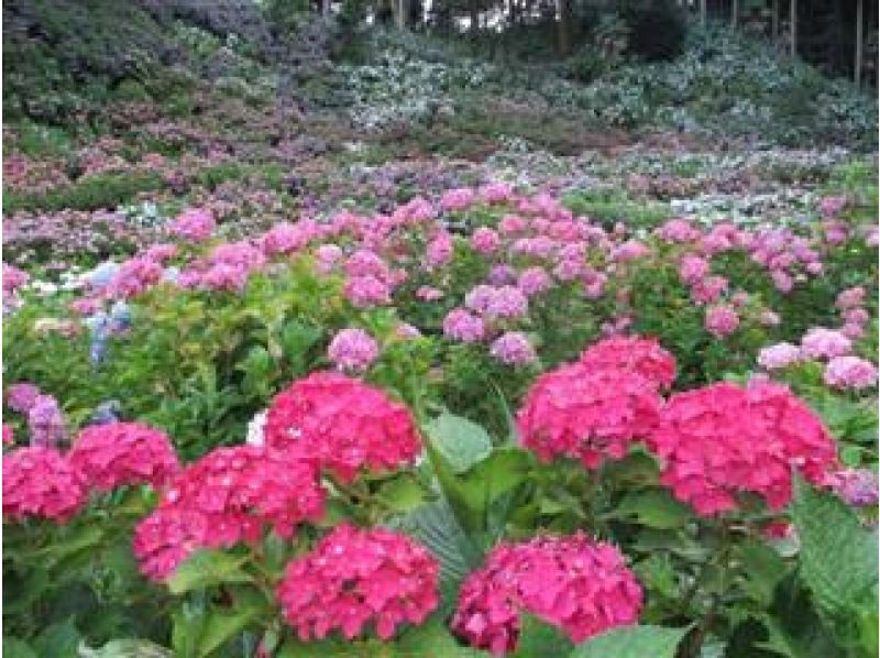 【北海道・SUP体験】透明度の高い支笏湖の湖面をクルージング！SUP体験（半日コース）の画像
