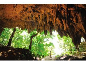 2024年10月まで【沖縄本島】那覇午後発　ガンガラーの谷ガイドツアー＆人気観光地へご案内　南部観光半日バスツアー