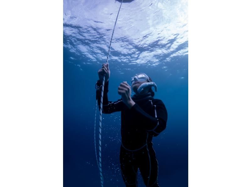 [沖繩/宮古島] 日本首個Molchanovs自由潛水課程Molchanovs WAVE1/WAVE2の紹介画像