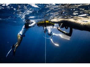 [Okinawa, Miyakojima] Japan's first Molchanovs freediving course Molchanovs WAVE 1 and WAVE 2