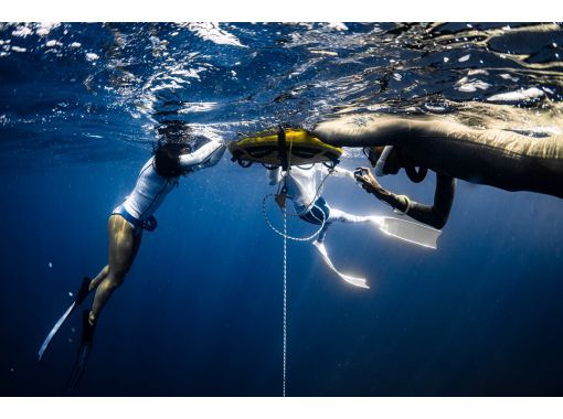 [Okinawa, Miyakojima] Japan's first Molchanovs freediving course Molchanovs WAVE 1 and WAVE 2の画像