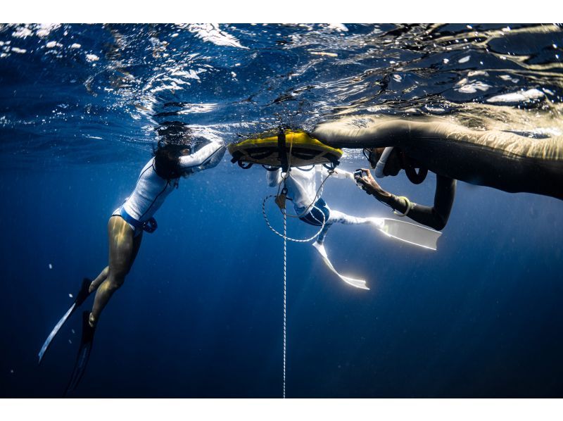 [Okinawa, Miyakojima] Japan's first Molchanovs freediving course Molchanovs WAVE 1 and WAVE 2の紹介画像