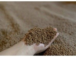 [Tokyo/Izu Oshima] A warming experience that goes beyond "Totonoaru" | Ceramic sand bath + selectable healing space [Day trip/empty-handed OK/popular with couples]