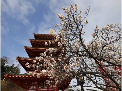 京王百草園の「つるし雛」&五重塔×梅が美しい高幡不動尊&ガイドと巡る深大寺バスツアー～深大寺蕎麦のお食事付き～【029029‐1063】の画像