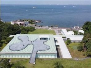 世界の絶景美術館『横須賀美術館』企画展鑑賞と約10万本のヒマワリ畑見学バスツアー　～和食御膳のお食事付～【029029-1257】