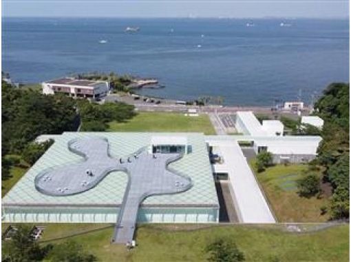 世界の絶景美術館『横須賀美術館』企画展鑑賞と約10万本のヒマワリ畑見学バスツアー　～和食御膳のお食事付～【029029-1257】の画像