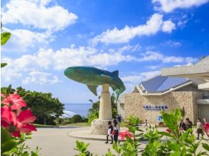 April 1st ~ [Departing from Naha/Chatan, Okinawa] Glass boat and Bise Fukugi tree lined road, Churaumi Aquarium, American Village (Course B)