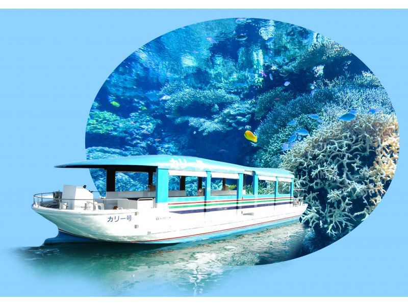 April 1st ~ [Departing from Naha/Chatan, Okinawa] Glass boat and Bise Fukugi tree lined road, Churaumi Aquarium, American Village (Course B)の紹介画像